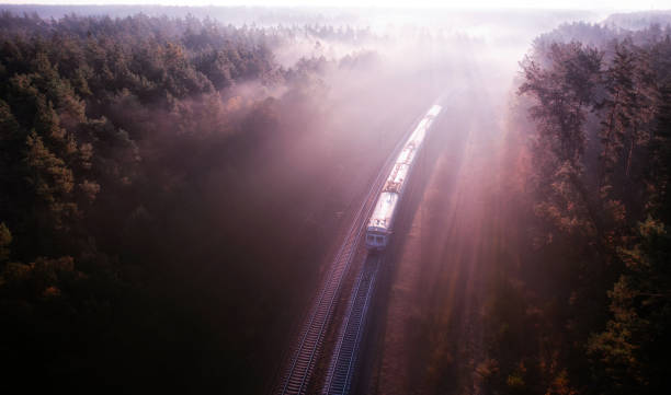 istock An old passenger train moves through the forest at dawn. 1419932406