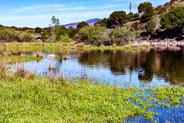 istock Embalse de Puente Nuevo 1419939613