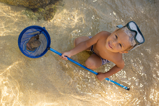Child, catch octopus in the sea with fishing net, kid enjoying sea life in Chalkidiki, Greece.