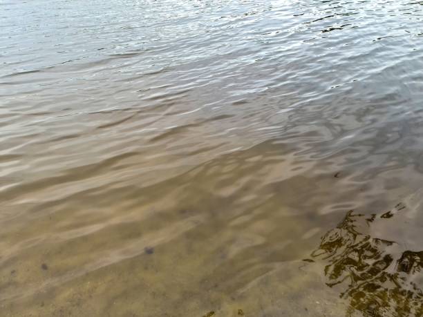 istock Water surfaces with waves and ripples and the sunlight reflecting at the surface. 1419944203