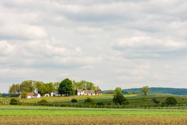 istock Wine route at Galgenberg in Weinviertel, Austria 1419944740