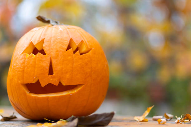 istock halloween pumpkin, autumn still life 1419946449