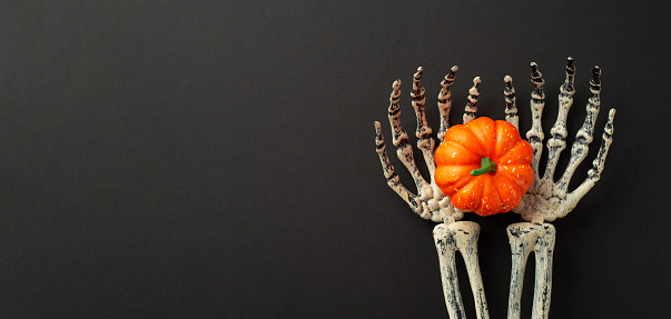 Halloween concept. Top view photo of skeleton hands holding orange pumpkin on isolated black background with copyspace