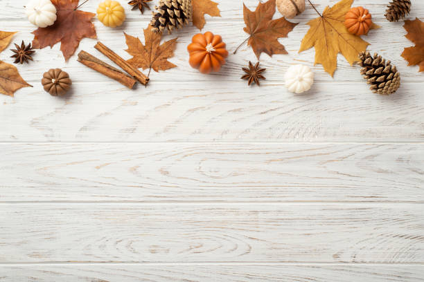 가을 개념. 단풍 나무 잎의 톱보기 사진 소나무 콘 작은 호박 호두 아니스와 계피 스틱을 카피 스페이스가있는 고립 된 흰색 나무 테이블 배경에 붙입니다. - autumn leaf nature november 뉴스 사진 이미지