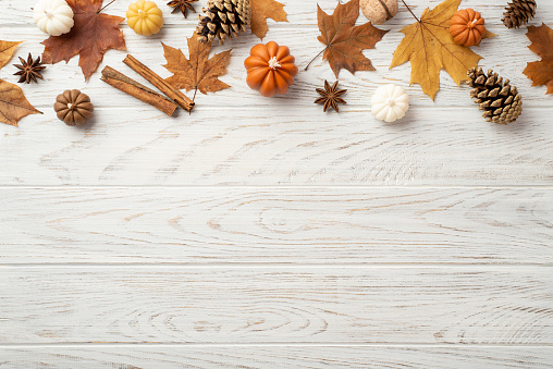 Autumn concept. Top view photo of maple leaves pine cones small pumpkins walnut anise and cinnamon sticks on isolated white wooden table background with copyspace