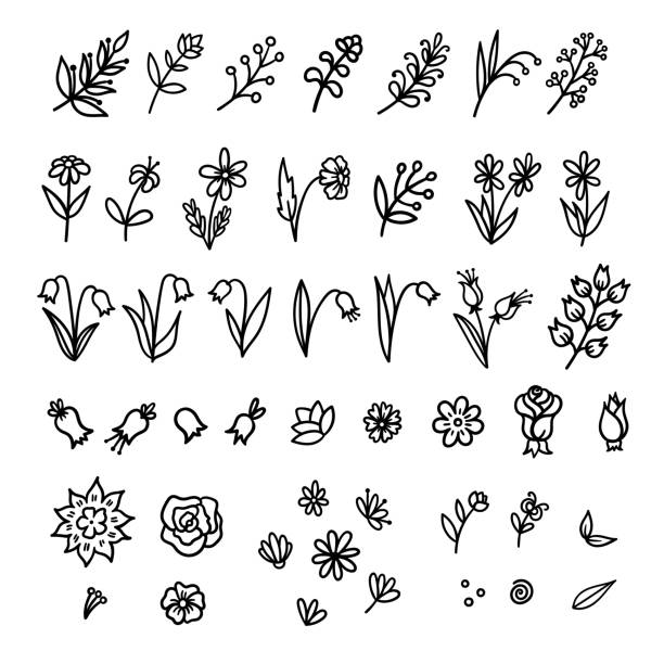 illustrations, cliparts, dessins animés et icônes de collection vectorielle doodle d’éléments floraux. illustrations au trait de dessin animé de fleurs, brindilles, branches, bourgeons, cloches, roses, marguerites et feuilles isolées sur fond blanc. - de petite taille