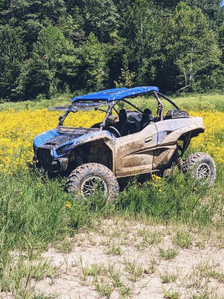ATV in Goldenrod Field