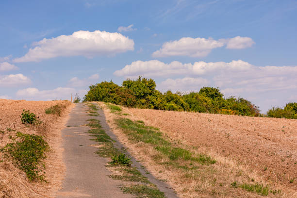 Harvested corn fields and a field path in nice weather with prominent clouds, Germany