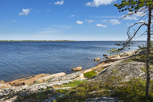 Rocky seashore. Summer landscape of the White Sea. Russia, Republic of Karelia.