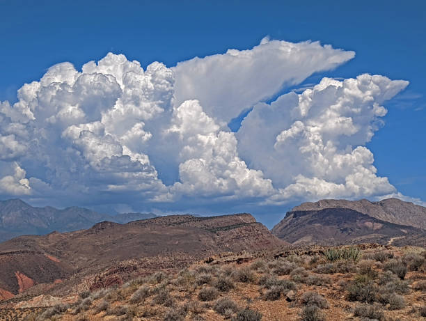 istock Monsoon thunderstorm building over Pine Valley Mountain and the viewed from near Hurricane Mesa and Virgin Utah 1419953444