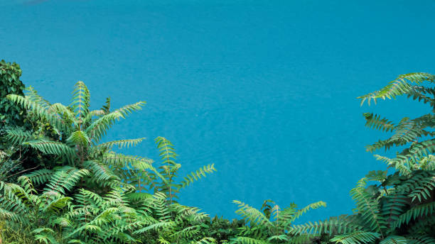 Green leaves on sea background. front view