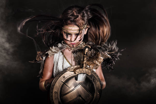 medieval defense shield in Bistrita, Romania 2024