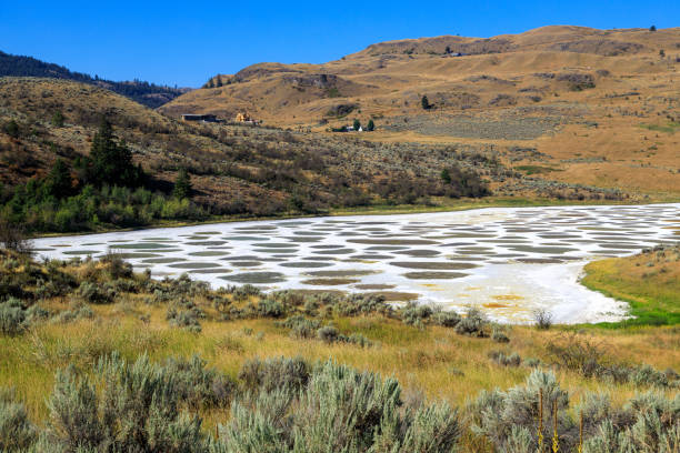 斑点を付けられたオソヨス湖シミルカミーン渓谷 - lake osoyoos ストックフォトと画像