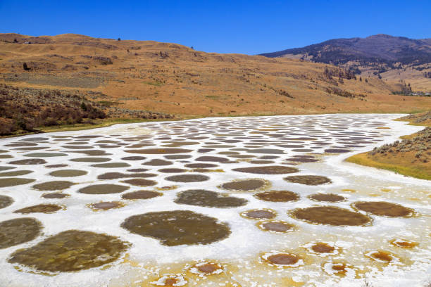 istock Spotted Lake Osoyoos Similkameen Valley 1419965026