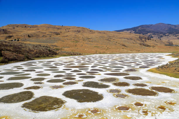 斑点を付けられたオソヨス湖シミルカミーン渓谷 - lake osoyoos ストックフォトと画像