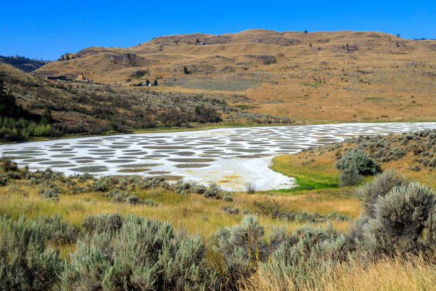 istock Spotted Lake Osoyoos Similkameen Valley 1419965326