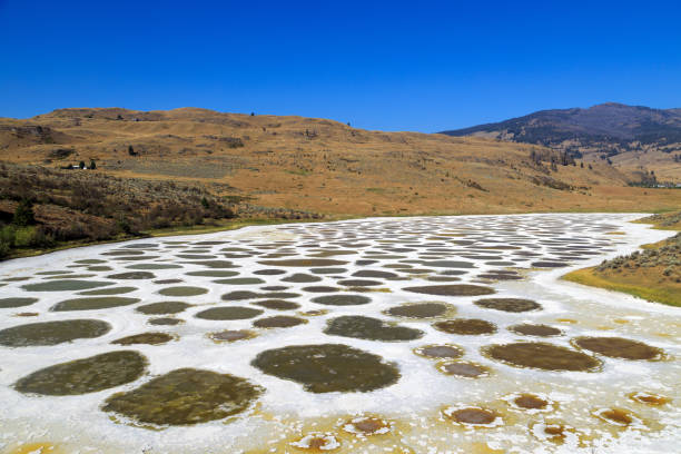 istock Spotted Lake Osoyoos Similkameen Valley 1419965963