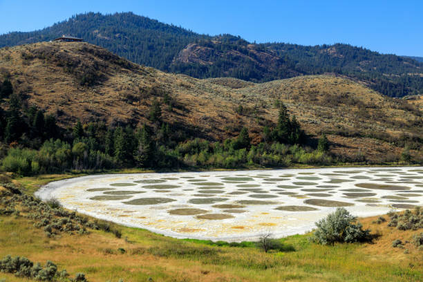 istock Spotted Lake Osoyoos Similkameen Valley 1419966135