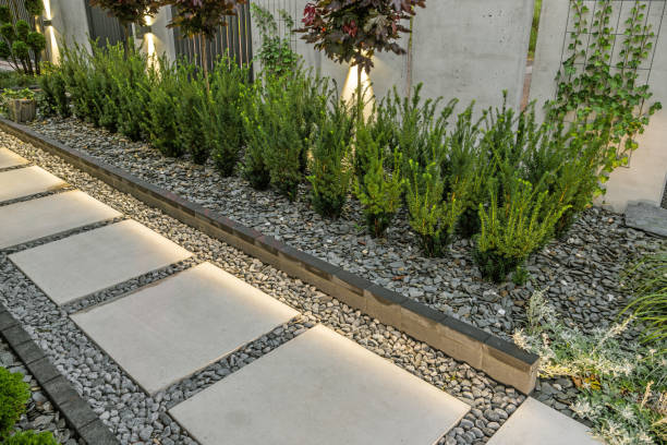 istock Living House Yard Design 1419967189