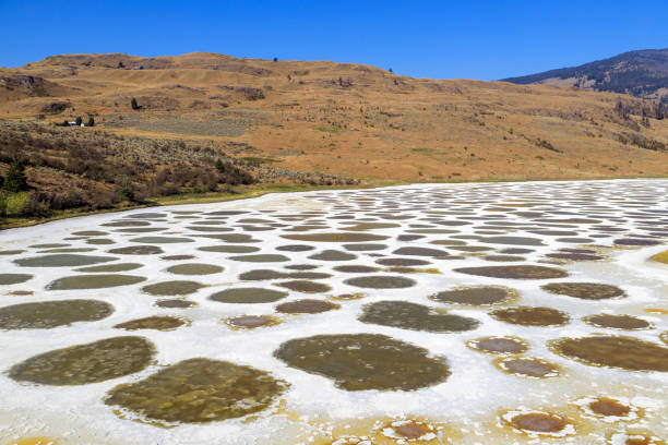istock Spotted Lake Osoyoos Similkameen Valley 1419967210