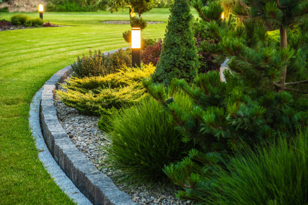 istock Island Bed Garden Design 1419967215
