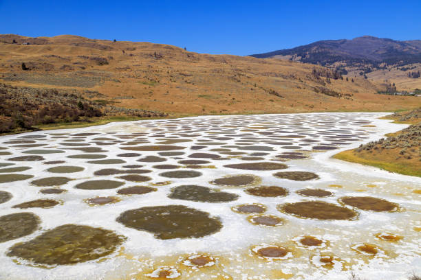 istock Spotted Lake Osoyoos Similkameen Valley 1419967258