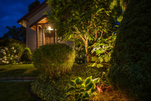 Illuminated Backyard Garden in the Evening stock photo