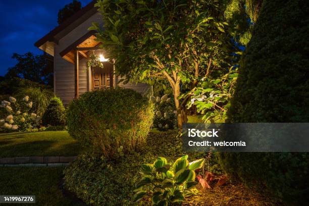 Illuminated Backyard Garden In The Evening Stock Photo - Download Image Now - Night, Garden, Back Yard