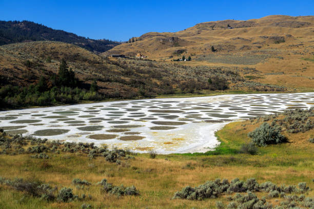 istock Spotted Lake Osoyoos Similkameen Valley 1419967382