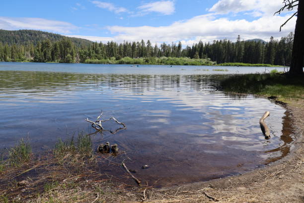istock Lassen national forest California 1419971344