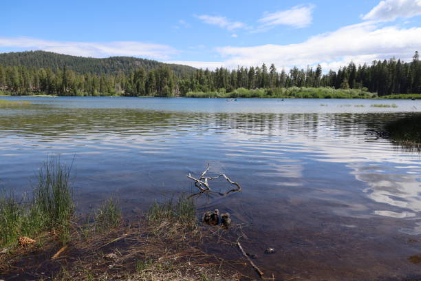 istock Lassen national forest California 1419971357