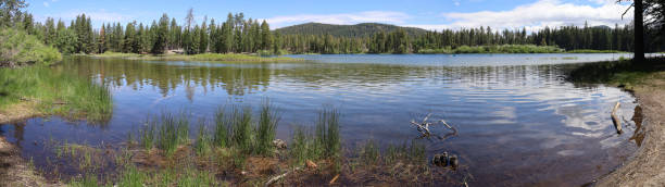 Lassen national forest California