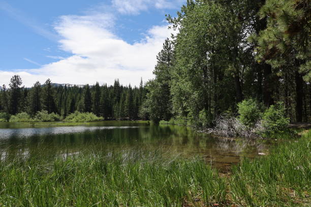 istock Lassen national forest California 1419971368