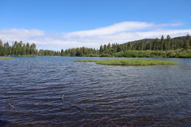 istock Lassen national forest California 1419971385