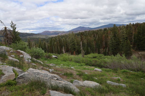istock Lassen national forest California 1419971528