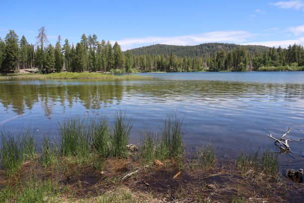 istock Lassen national forest California 1419971536