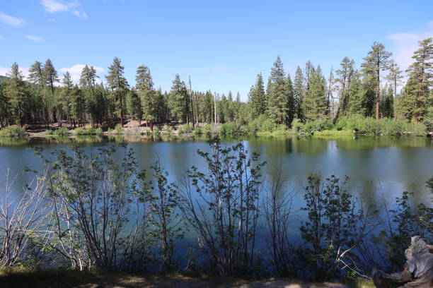 istock Lassen national forest California 1419971705