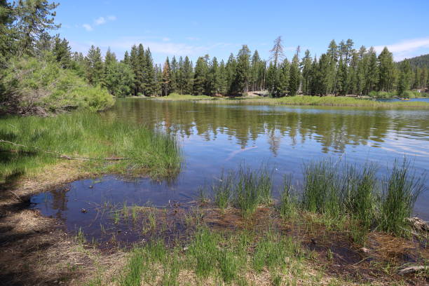 istock Lassen national forest California 1419971766