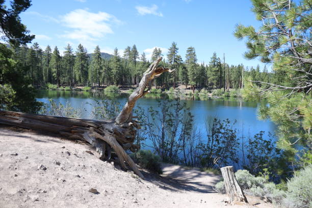 istock Lassen national forest California 1419971842
