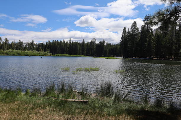 Lassen national forest California