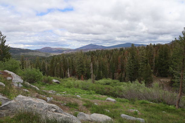 istock Lassen national forest California 1419971901