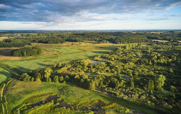 istock Meadow and swamp from drone point of view 1419971911