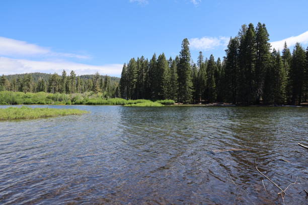 istock Lassen national forest California 1419971940