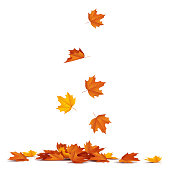 istock Autumn leaves falling. 1419974242