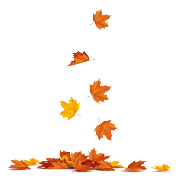 Vector illustration of Autumn leaves falling.