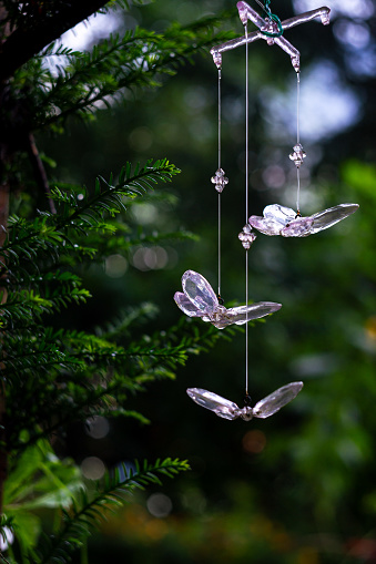 crystal butterfly pendants on a spruce branch in an alpine forest with bokeh in the background