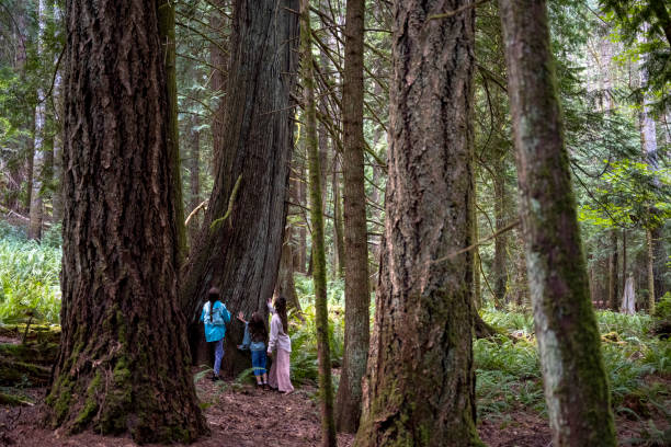istock Family on a hike in nature 1419980252