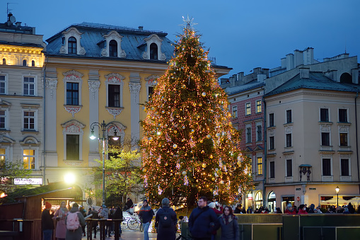 Krakow, Poland - December 2, 2021: Traditional street Christmas market on a snowy day. Largest live Xmas tree in Europe. People stroll through cozy seasonal European festival at town hall square.