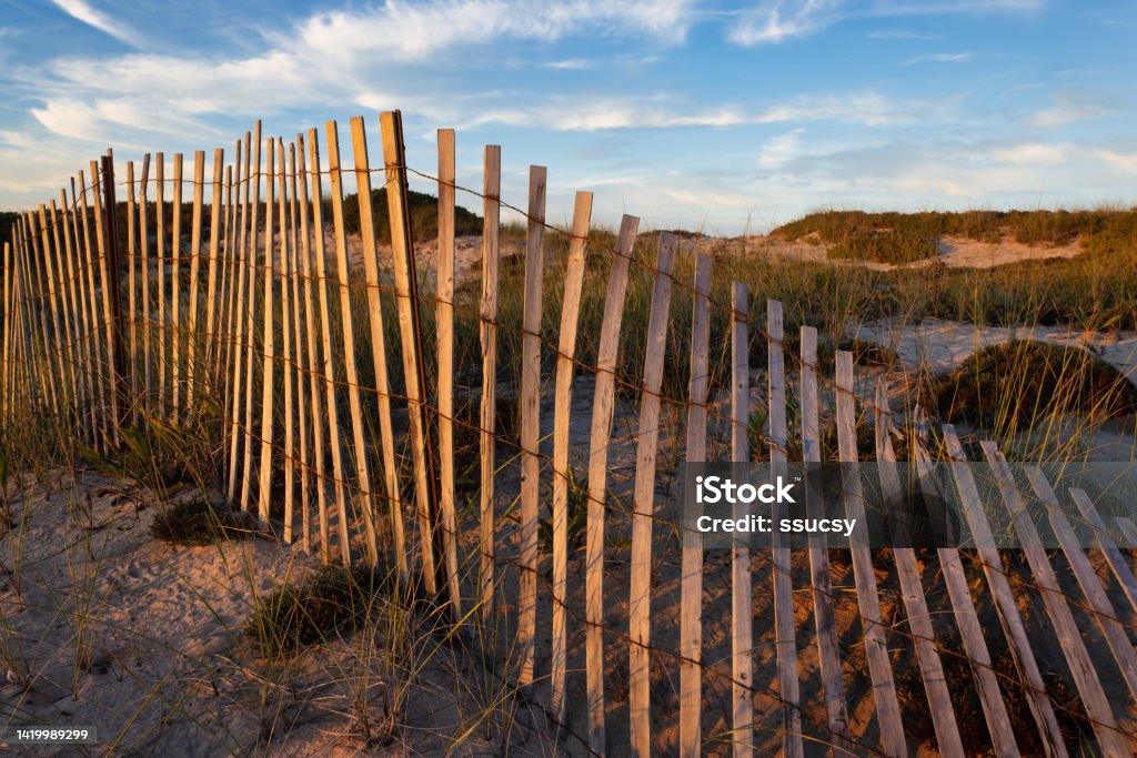 Sand Dunes and Fence at East Hampton Main Beach in Evening Light Sand dunes and fence illuminated by golden hour evening sunlight at Main Beach, East Hampton, Long Island, New York August Stock Photo
