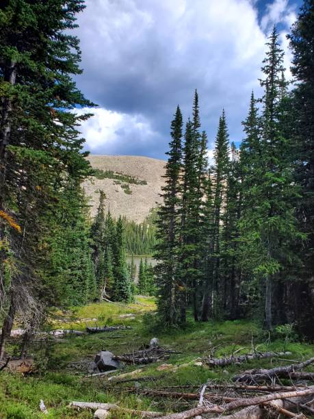 istock Darkening clouds over mountain and forest. 1419990424